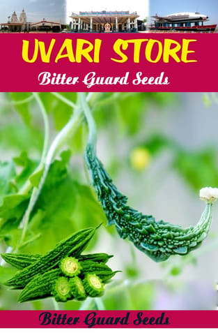 UVARI Bitter Guard Vegetable Seeds - 100 Seeds Per Pack
