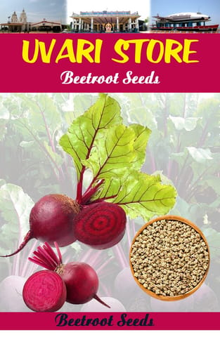 UVARI Beetroot Vegetable Seeds - 250G Per Pack