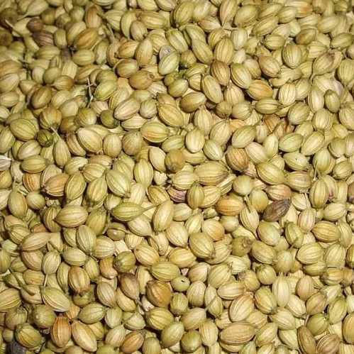 UVARI Coriender Seeds 500G Per Pack