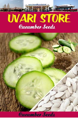 UVARI Cucumber Seeds - 100 Seeds