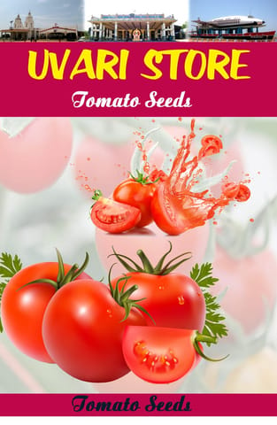 UVARI Tomato Seeds - Desi Variety (Pack of 50 Seeds)