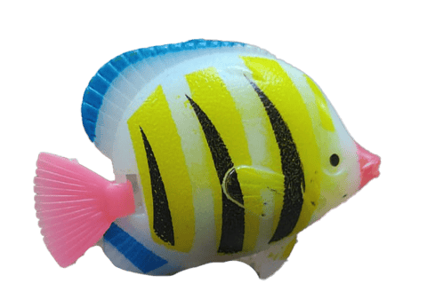 SM Ange Aquarium decorative Accessories