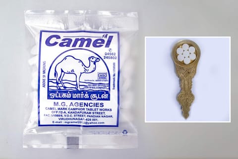 Camel Camphor Tablets 20G