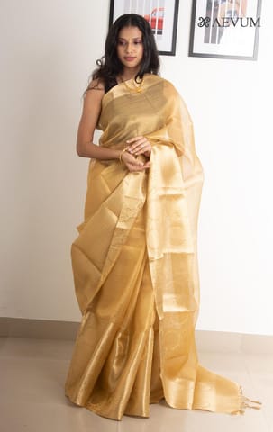 Tissue saree