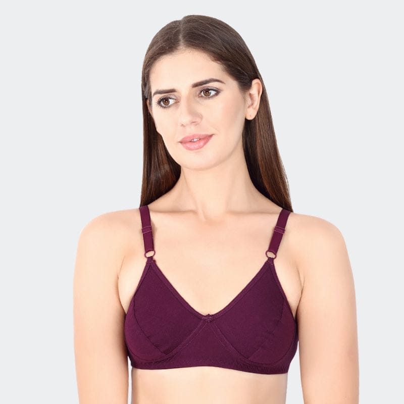 Prithvi Beauty Bra (Wine)