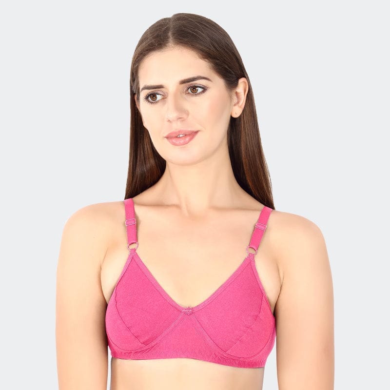 Prithvi Beauty Bra (Lotus)