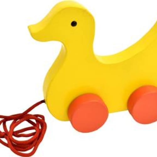 Duck Pull Toy