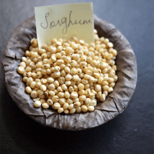 Nalam Sorghum Millet / Cholam / Jowar - 500gm