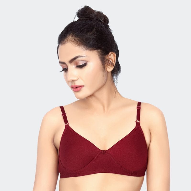 Prithvi Ayathi Bra (Burgundy)