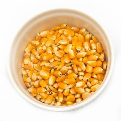 Makka  Dried Yellow Corn / Maize / Manjal Cholam - 1Kg