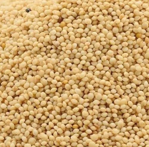 Little Millet / Saamai ,1 Kg