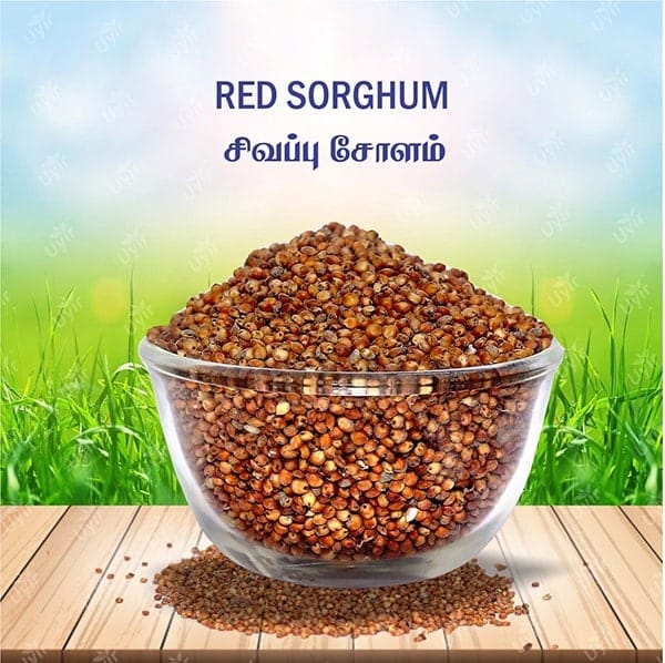 Maavel Red Corn  Sivappu Cholam - 500gm\