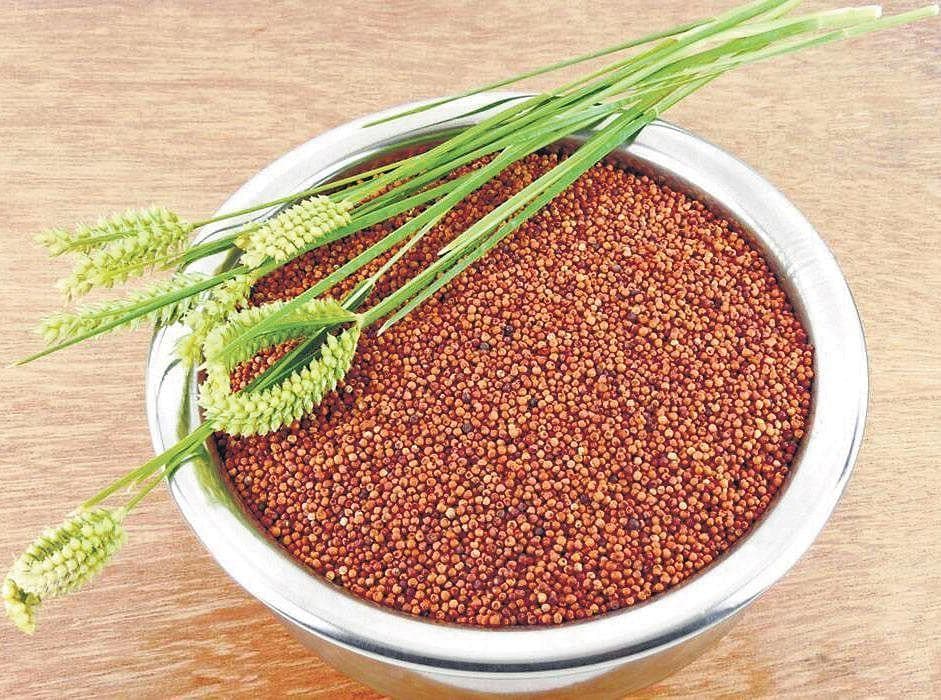 Maavel Organic Kelvaragu - Ragi Whole