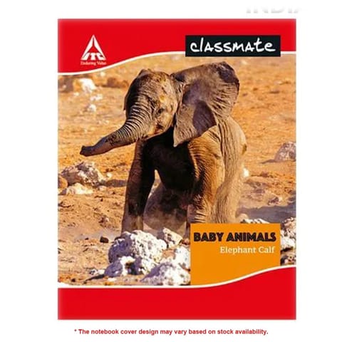 Classmate Long Notebooks  Four Line with Gap, Soft Cover, 84 Pages, 31.4cm x 19.4cm