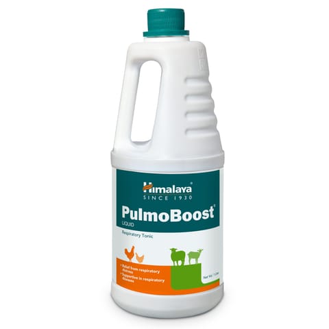 Himalaya Pulmoboost