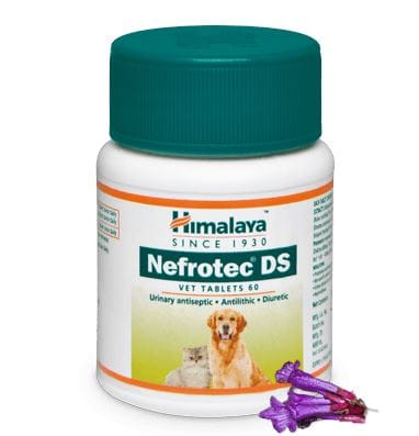 Himalaya Nefrotec Ds Vet Tablets-60 Tablets