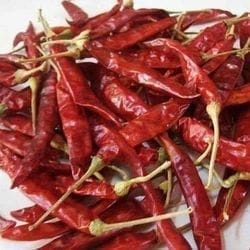 Vara Milagai | Red Chilli