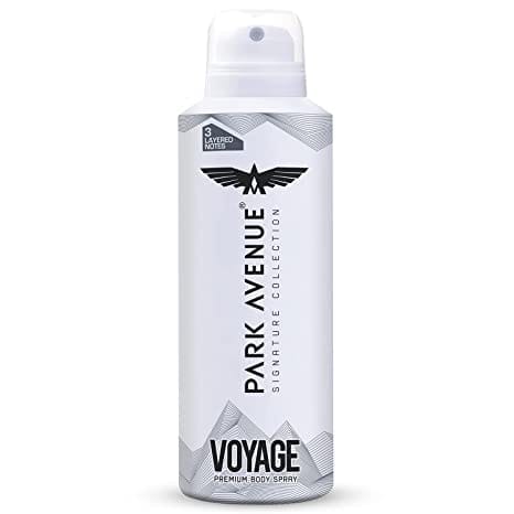 Park Avenue Voyage 150Ml