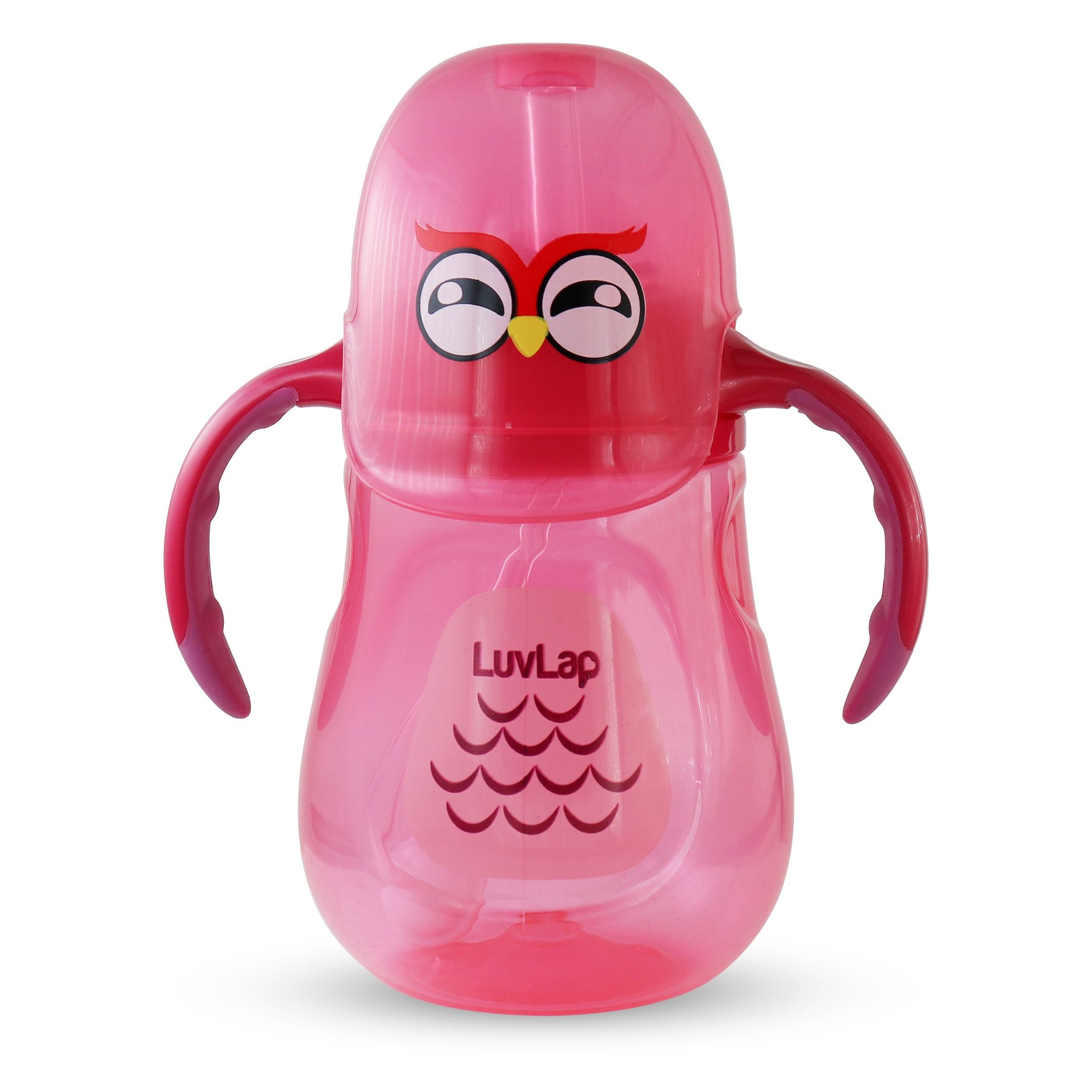 Wise Owl Straw Sipper, 280Ml