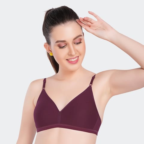 Prithvi Tee Fit Bra For Women Wine