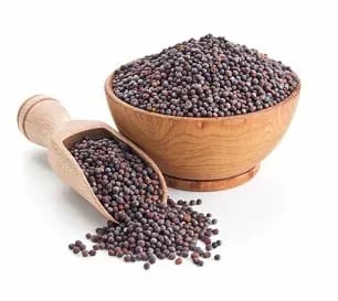 Organic Mustard Seed 100Gm